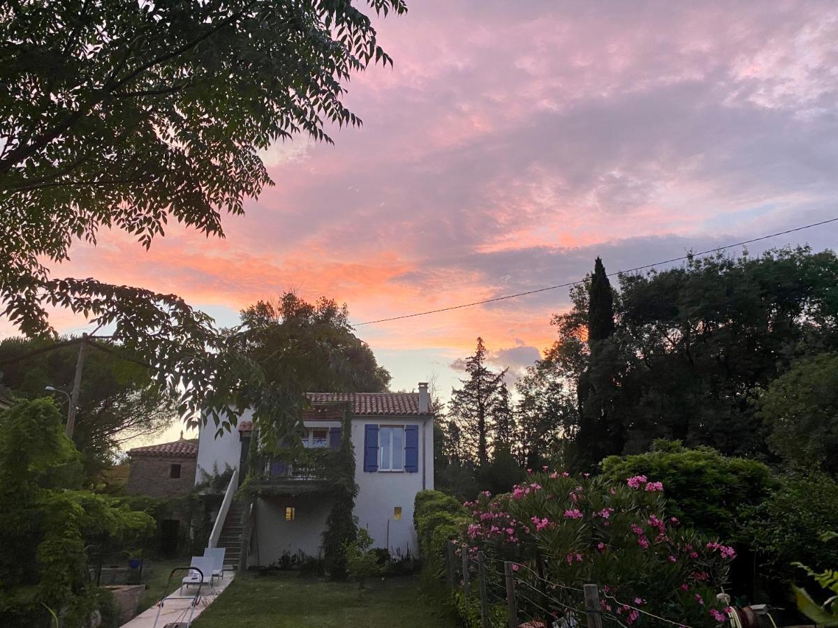 Petite Maison De Charme - Le Jardin Secret D'Alice Roquebrune-sur Argens Εξωτερικό φωτογραφία